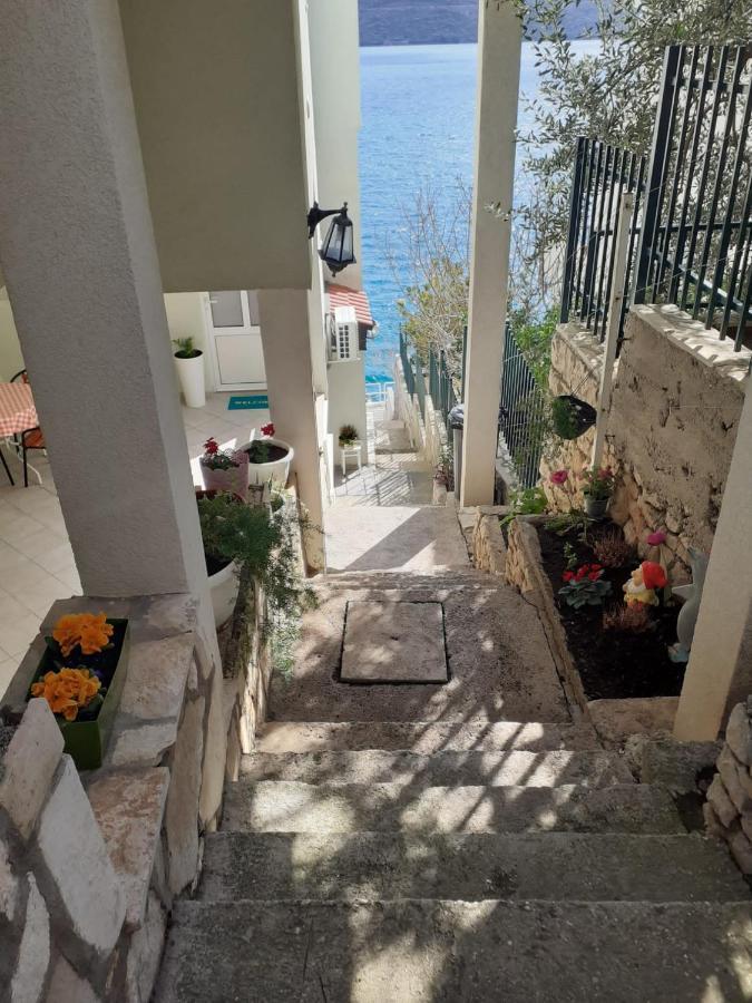 Apartmani Lezenic Dada 네움 외부 사진